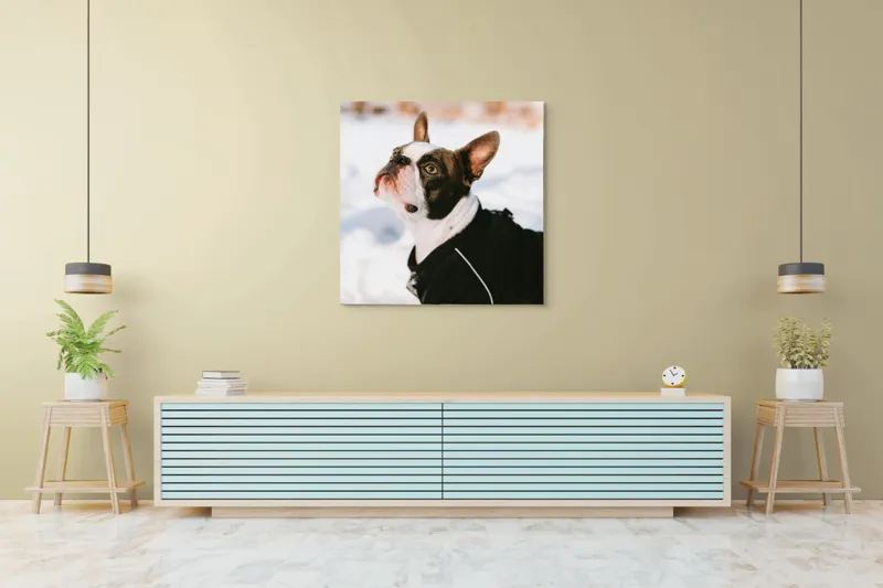 Tablou Canvas, "Câine în zăpadă privind cerul", 100 x 100 cm – poza 5