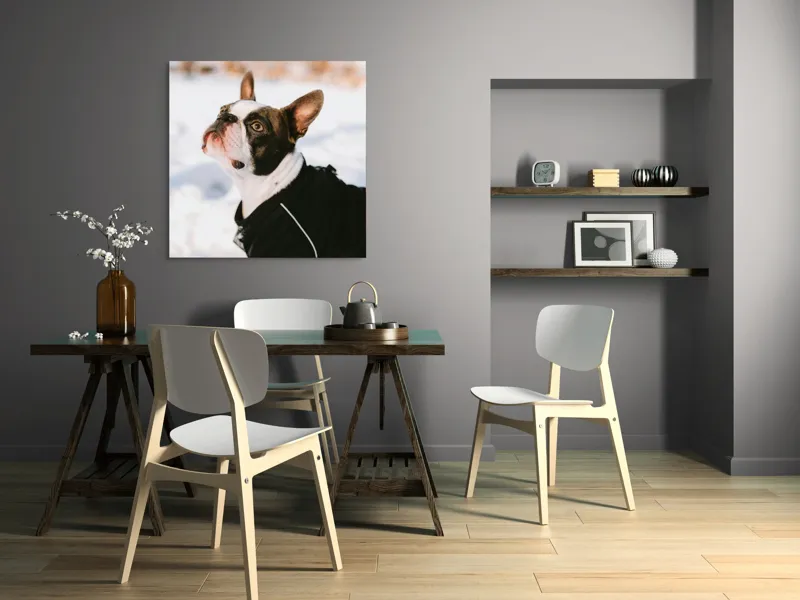 Tablou Canvas, "Câine în zăpadă privind cerul", 100 x 100 cm – poza 6