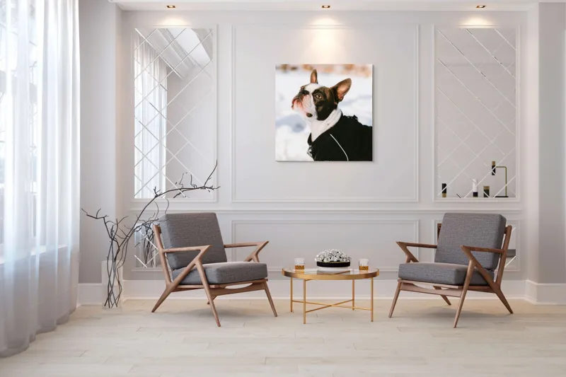 Tablou Canvas, "Câine în zăpadă privind cerul", 100 x 100 cm – poza 7