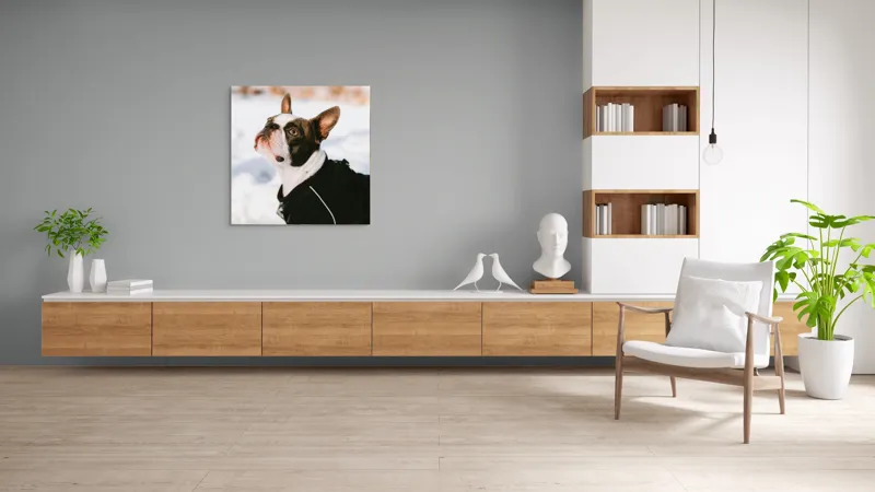 Tablou Canvas, "Câine în zăpadă privind cerul", 100 x 100 cm – poza 8