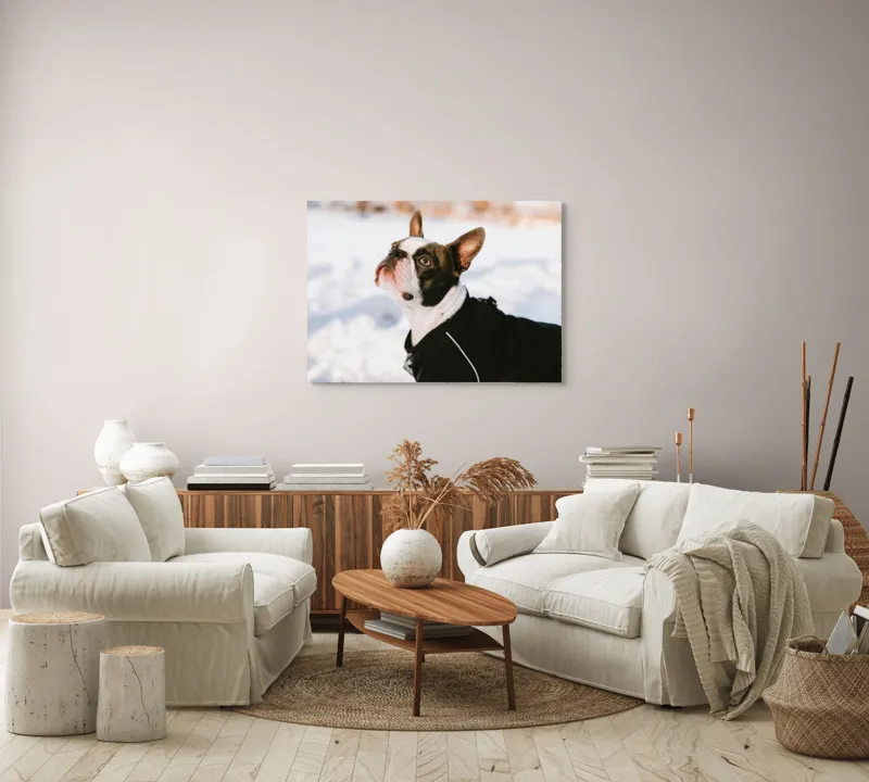 Tablou Canvas, "Câine în zăpadă privind cerul", 100 x 70 cm – poza 3