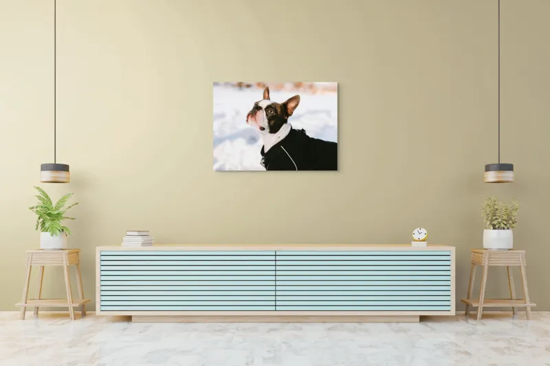 Tablou Canvas, "Câine în zăpadă privind cerul", 100 x 70 cm – poza 4
