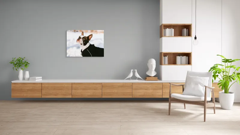 Tablou Canvas, "Câine în zăpadă privind cerul", 100 x 70 cm – poza 6