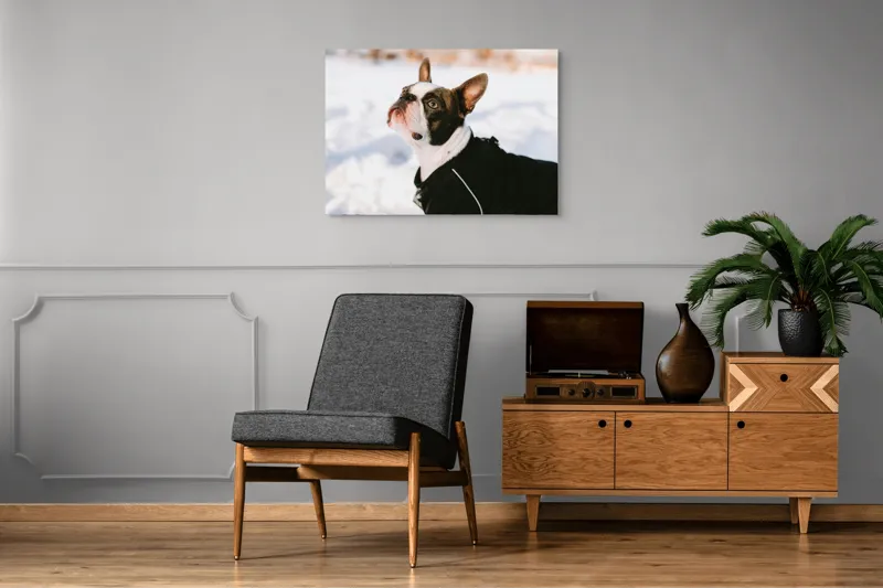 Tablou Canvas, "Câine în zăpadă privind cerul", 100 x 70 cm – poza 8
