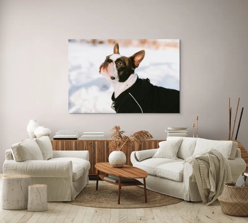 Tablou Canvas, "Câine în zăpadă privind cerul", 150 x 100 cm – poza 3