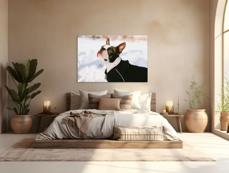 Tablou Canvas, "Câine în zăpadă privind cerul", 150 x 100 cm – poza 4