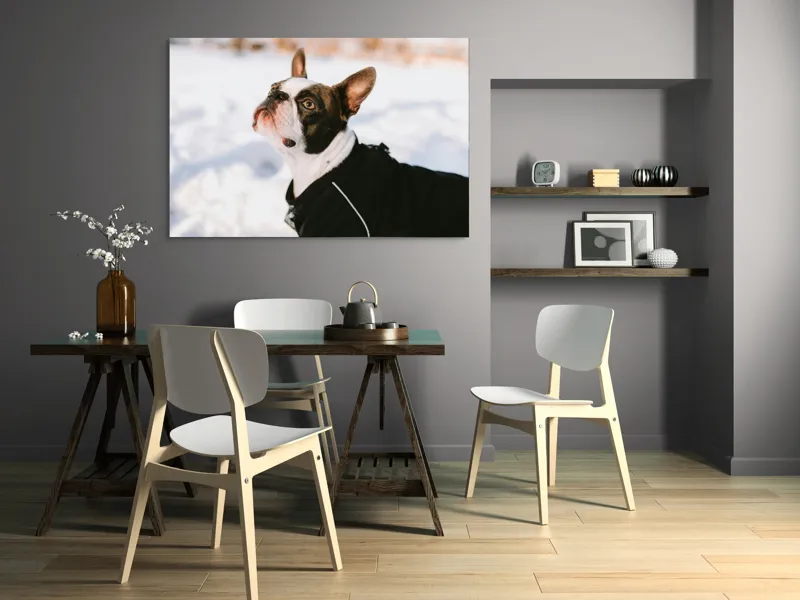 Tablou Canvas, "Câine în zăpadă privind cerul", 150 x 100 cm – poza 5