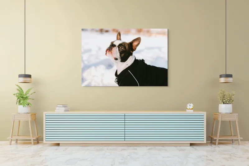 Tablou Canvas, "Câine în zăpadă privind cerul", 150 x 100 cm – poza 6