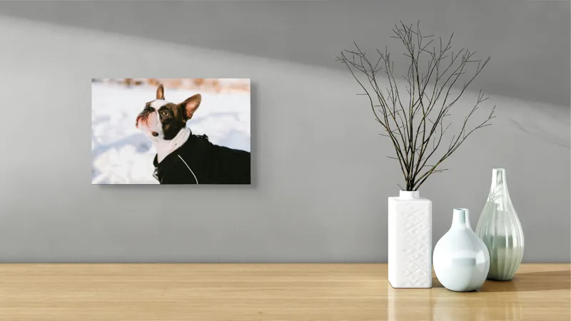 Tablou Canvas, "Câine în zăpadă privind cerul", Nu pot să identific cine este în imagine., 39 x 26 cm – poza 8