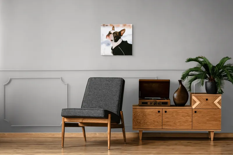 Tablou Canvas, "Câine în zăpadă privind cerul", 50 x 50 cm – poza 6