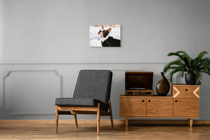 Tablou Canvas, "Câine în zăpadă privind cerul", Nu pot să identific cine este în imagine., 54 x 39 cm – poza 7