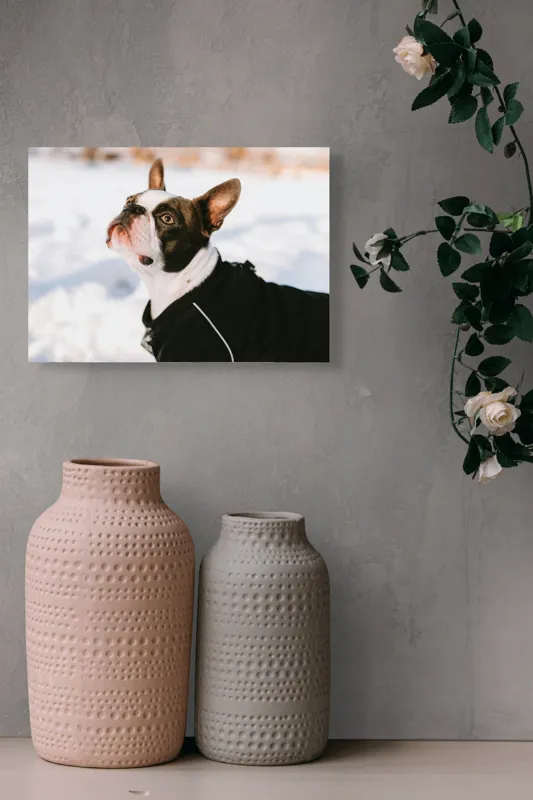 Tablou Canvas, "Câine în zăpadă privind cerul", Nu pot să identific cine este în imagine., 54 x 39 cm – poza 8