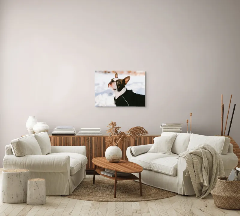 Tablou Canvas, "Câine în zăpadă privind cerul", 70 x 50 cm – poza 6