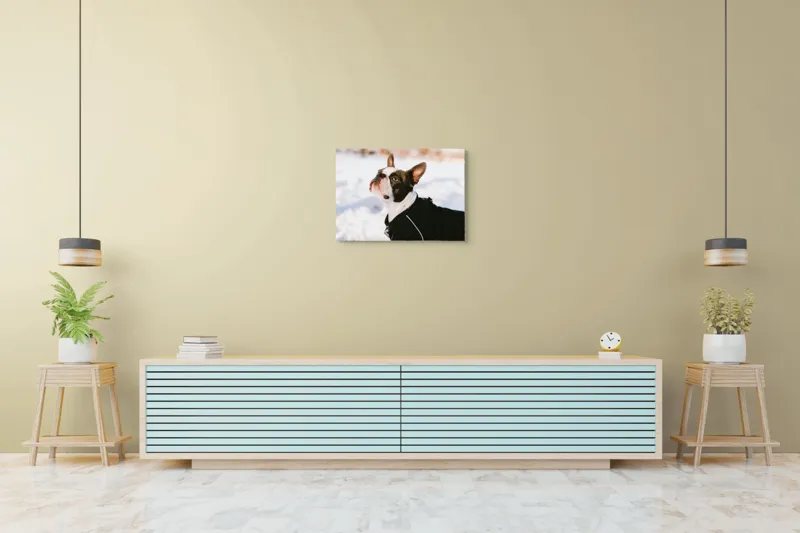 Tablou Canvas, "Câine în zăpadă privind cerul", 70 x 50 cm – poza 7