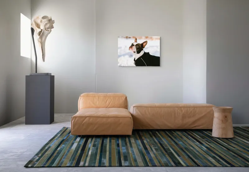 Tablou Canvas, "Câine în zăpadă privind cerul", 70 x 50 cm – poza 8
