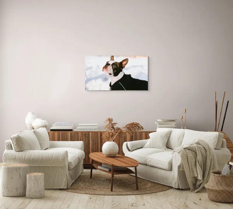 Tablou Canvas, "Câine în zăpadă privind cerul", 90 x 50 cm – poza 4