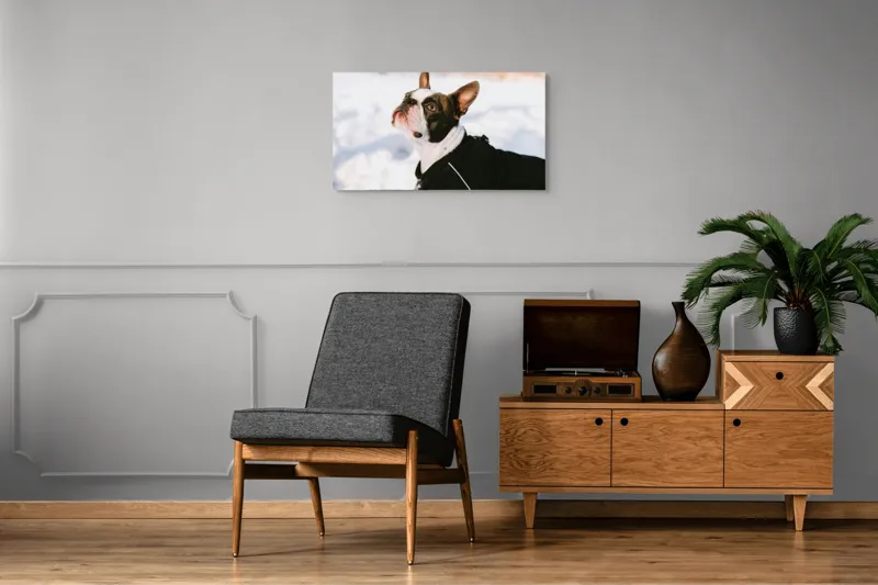 Tablou Canvas, "Câine în zăpadă privind cerul", 90 x 50 cm – poza 6