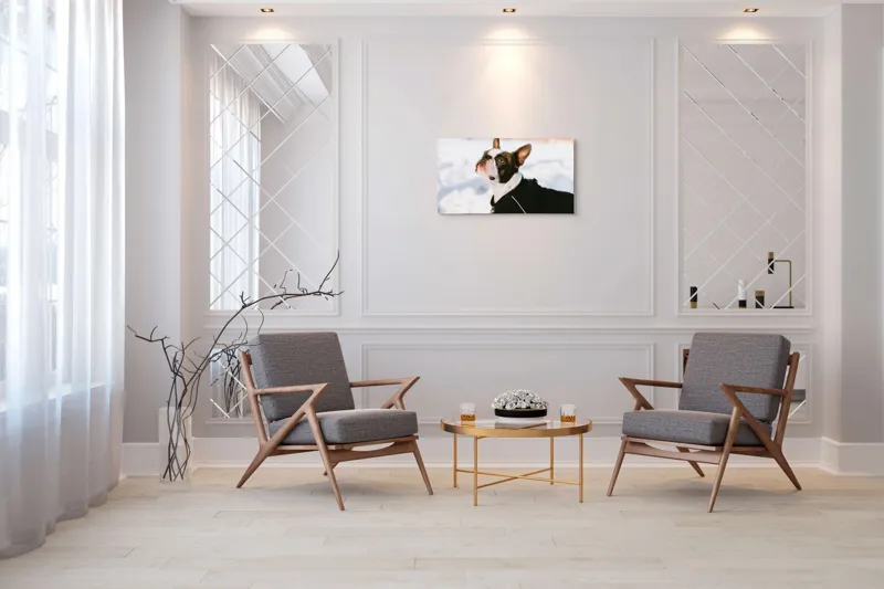 Tablou Canvas, "Câine în zăpadă privind cerul", 90 x 50 cm – poza 7