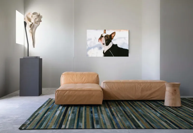 Tablou Canvas, "Câine în zăpadă privind cerul", 90 x 50 cm – poza 8