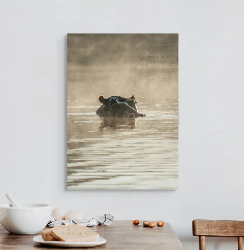 Tablou Canvas, "Hipopotam între ape și lumină", Hippopotamus, Apă, Ceață, Reflecție, Natură, 50 x 70 cm – poza 3