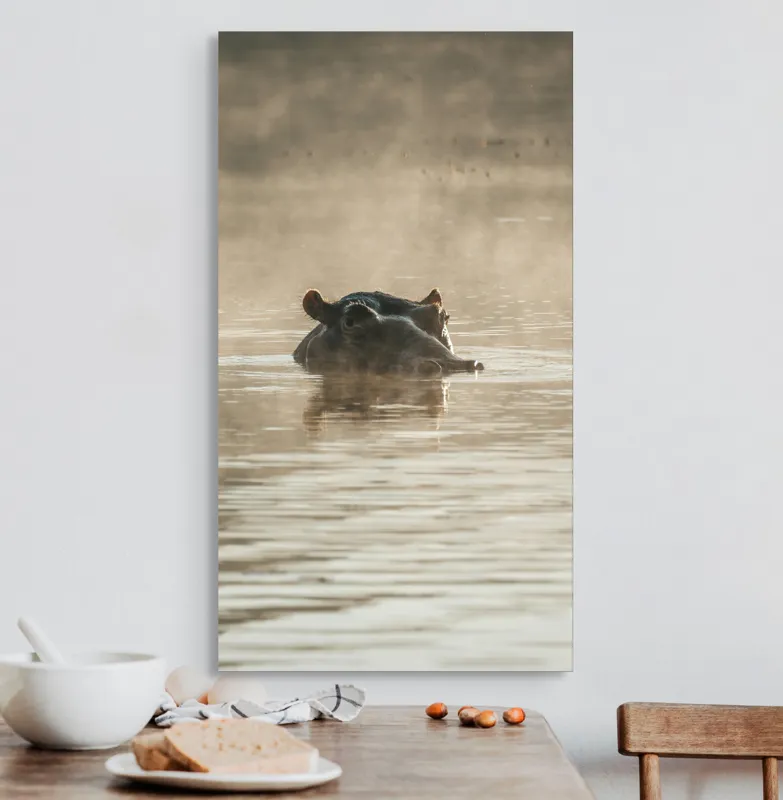 Tablou Canvas, "Hipopotam între ape și lumină", Hippopotamus, Apă, Ceață, Reflecție, Natură, 50 x 90 cm – poza 3