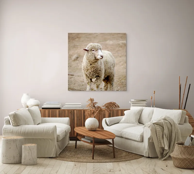 Tablou Canvas, "Oaia visând la pășunile verzi", Lână, Oaie, Blană, Curiozitate, Peisaj, Fermă, Natură, Blândă, Pufos, Pajiște, 100 x 100 cm – poza 3