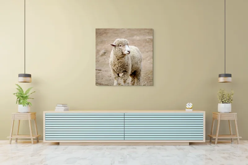 Tablou Canvas, "Oaia visând la pășunile verzi", Lână, Oaie, Blană, Curiozitate, Peisaj, Fermă, Natură, Blândă, Pufos, Pajiște, 100 x 100 cm – poza 5