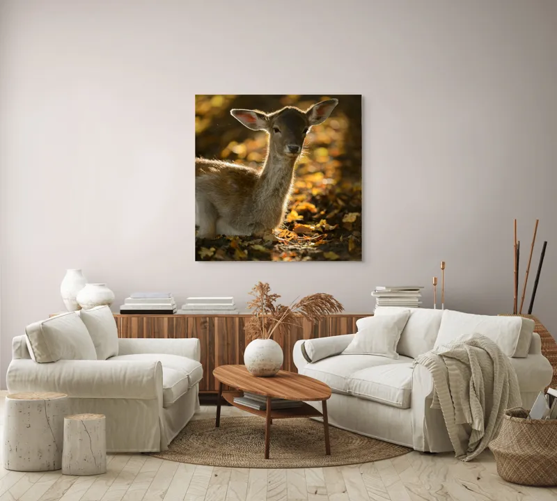 Tablou Canvas, "Căprioară în lumina toamnei blânde", Blândețe, Natură, Pădure, Lumină, Frunze, Serinitate, Privire, Toamnă, Seninătate, 100 x 100 cm – poza 3