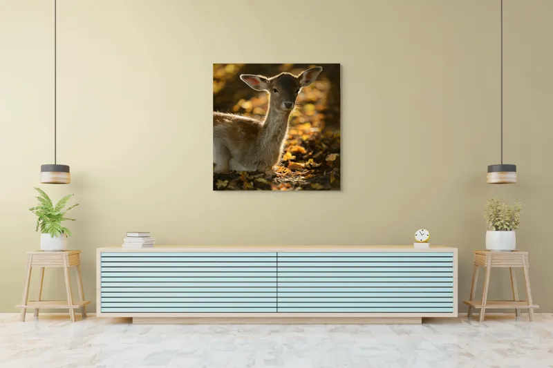 Tablou Canvas, "Căprioară în lumina toamnei blânde", Blândețe, Natură, Pădure, Lumină, Frunze, Serinitate, Privire, Toamnă, Seninătate, 100 x 100 cm – poza 5