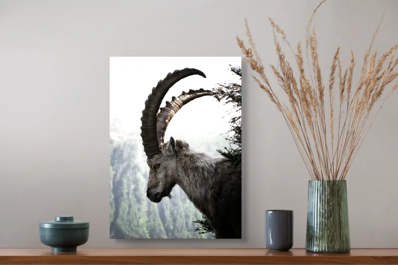 Tablou Canvas, "Capra neagră privind orizonturile montane", Majestic, Solitary, Alpine, Rugged, Watchful, Natural, 39 x 54 cm – poza 3