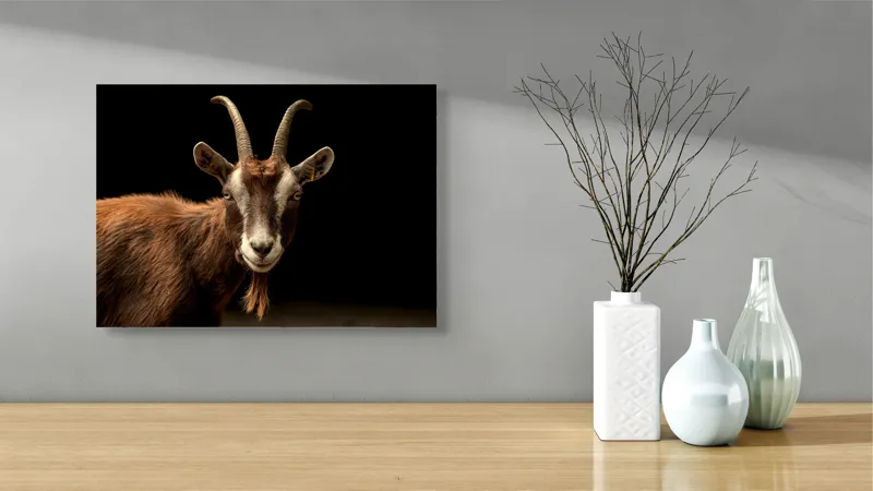 Tablou Canvas, "Capra pe fundal întunecat", Goat, Horns, Brown, Portrait, Darkness, Animal, Whiskers, 54 x 39 cm – poza 3