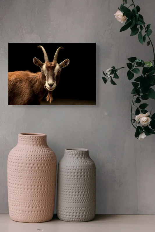 Tablou Canvas, "Capra pe fundal întunecat", Goat, Horns, Brown, Portrait, Darkness, Animal, Whiskers, 54 x 39 cm – poza 8