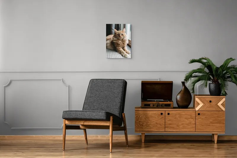 Tablou Canvas, "Pisica somnolentă lângă fereastră", Pisică, Blană, Portocalie, Relaxare, Fereastră, Privire, Blândă, Eleganță, 39 x 54 cm – poza 8