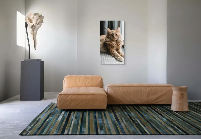 Tablou Canvas, "Pisica somnolentă lângă fereastră", Pisică, Blană, Portocalie, Relaxare, Fereastră, Privire, Blândă, Eleganță, 50 x 90 cm – poza 5