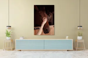 Tablou Canvas, "Mângâierea calului în lumina blândă", 100 x 150 cm – poza 4