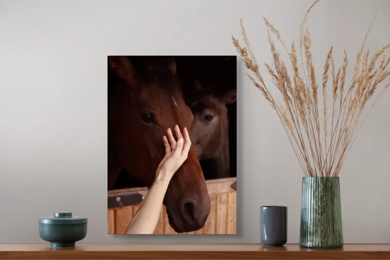 Tablou Canvas, "Mângâierea calului în lumina blândă", 39 x 54 cm – poza 3