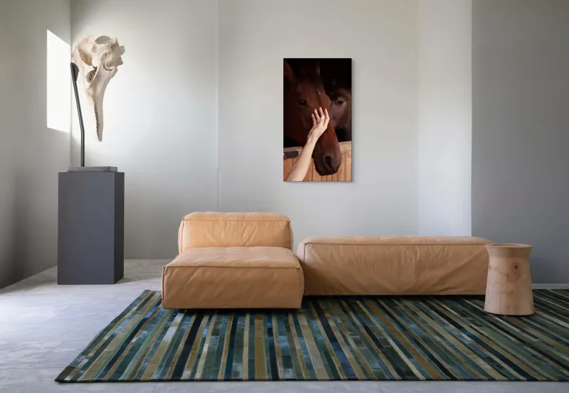 Tablou Canvas, "Mângâierea calului în lumina blândă", 50 x 90 cm – poza 5