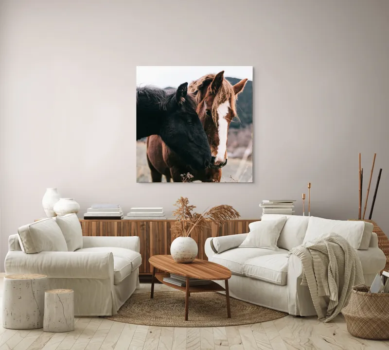 Tablou Canvas, "Prietenie de neclintit între cai", I don't know who they are., 100 x 100 cm – poza 3