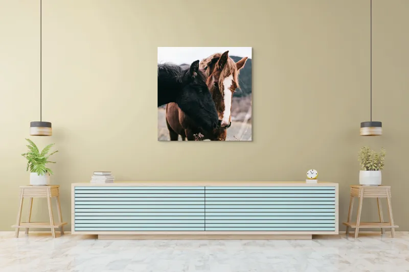 Tablou Canvas, "Prietenie de neclintit între cai", I don't know who they are., 100 x 100 cm – poza 5