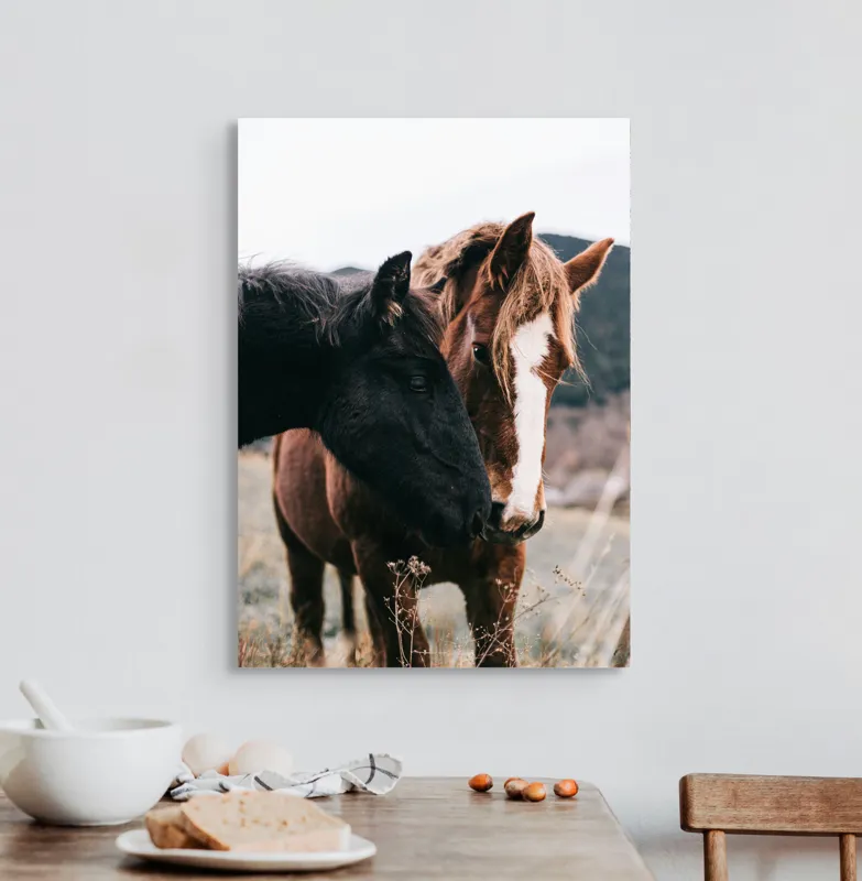 Tablou Canvas, "Prietenie de neclintit între cai", I don't know who they are., 50 x 70 cm – poza 3