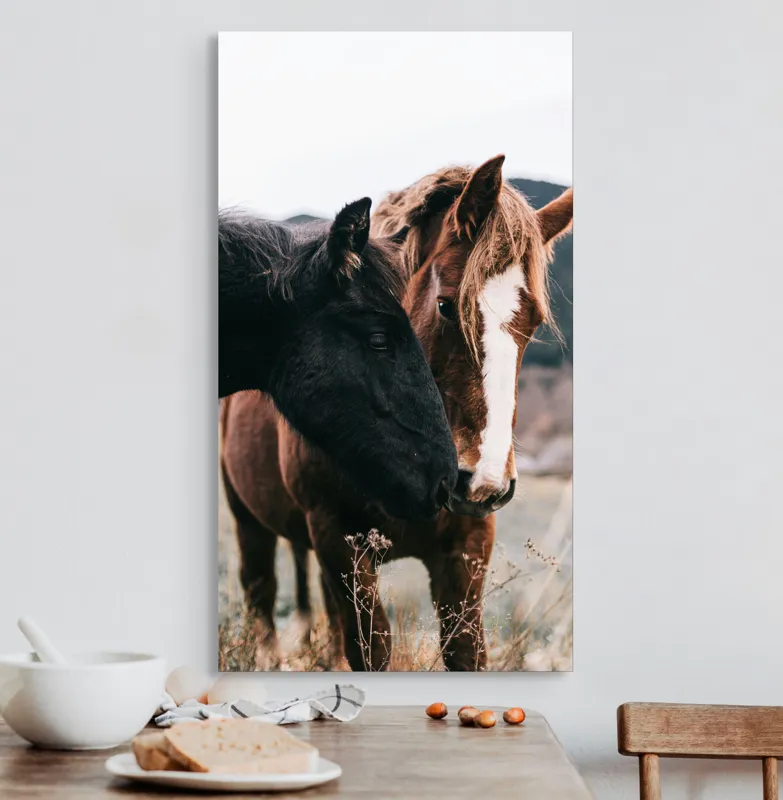 Tablou Canvas, "Prietenie de neclintit între cai", I don't know who they are., 50 x 90 cm – poza 3
