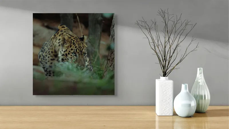 Tablou Canvas, "Leopardul în apropierea prăzii sale", Leopard, Camuflaj, Vegetație, Blană, Pândă, Mister, Natură, Tensiune, 50 x 50 cm – poza 3
