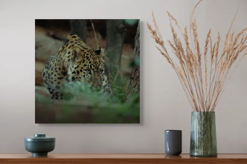 Tablou Canvas, "Leopardul în apropierea prăzii sale", Leopard, Camuflaj, Vegetație, Blană, Pândă, Mister, Natură, Tensiune, 50 x 50 cm – poza 4