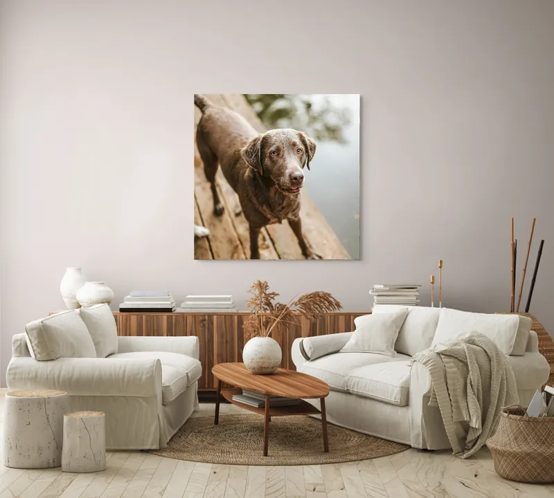 Tablou Canvas, "Câine ud pe malul lacului", 100 x 100 cm – poza 3