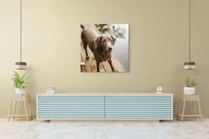 Tablou Canvas, "Câine ud pe malul lacului", 100 x 100 cm – poza 5