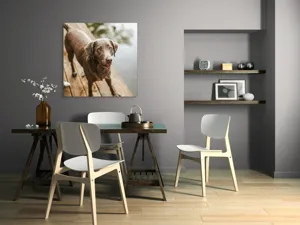 Tablou Canvas, "Câine ud pe malul lacului", 100 x 100 cm – poza 6