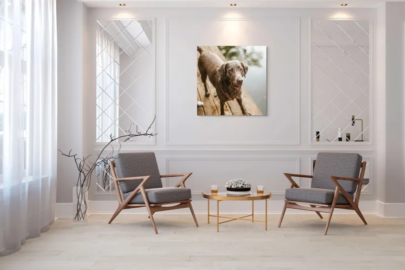 Tablou Canvas, "Câine ud pe malul lacului", 100 x 100 cm – poza 7