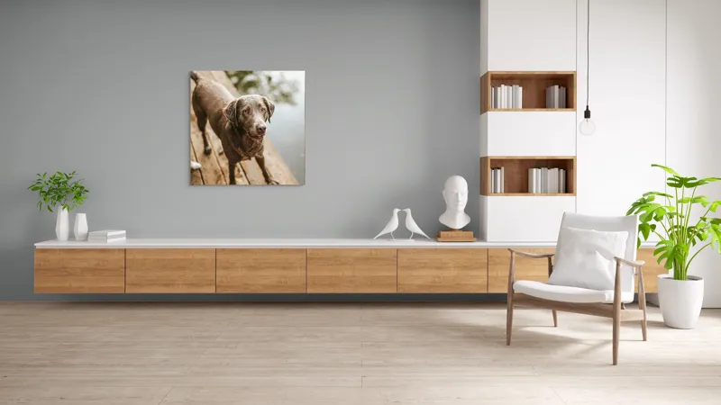Tablou Canvas, "Câine ud pe malul lacului", 100 x 100 cm – poza 8