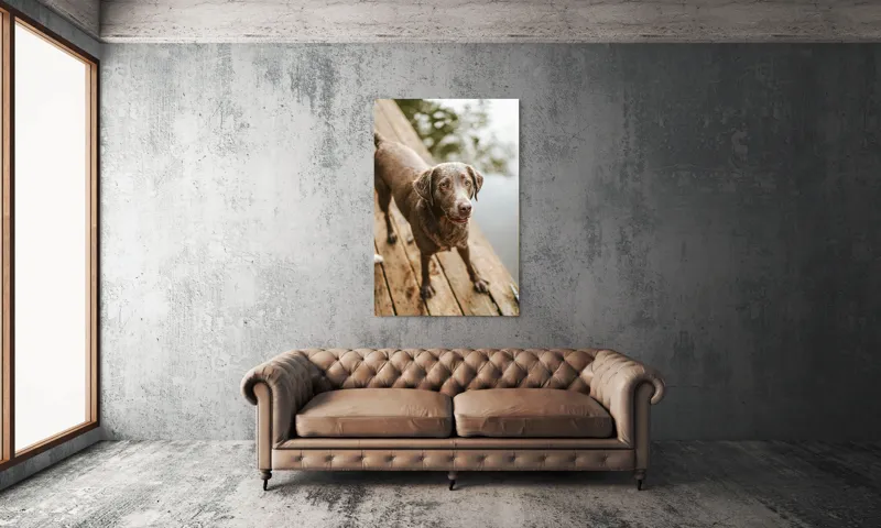 Tablou Canvas, "Câine ud pe malul lacului", 100 x 150 cm – poza 6