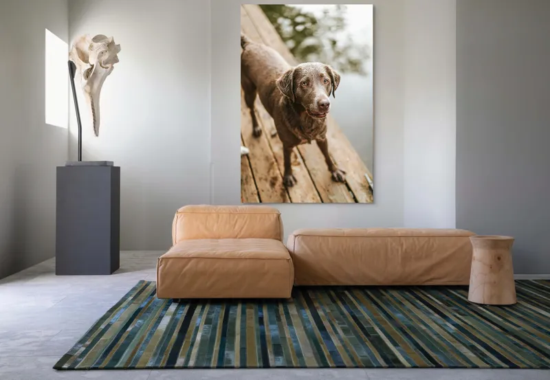 Tablou Canvas, "Câine ud pe malul lacului", 100 x 150 cm – poza 7